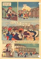 CIJr501-16-SnowWhite