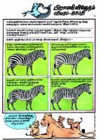 Aanava Aleena - kelvi.net_Page_28