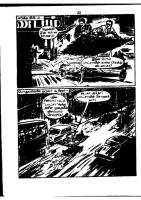 RC046_Page_21