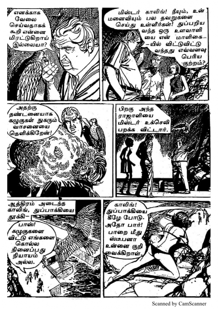 RC071_Page_13