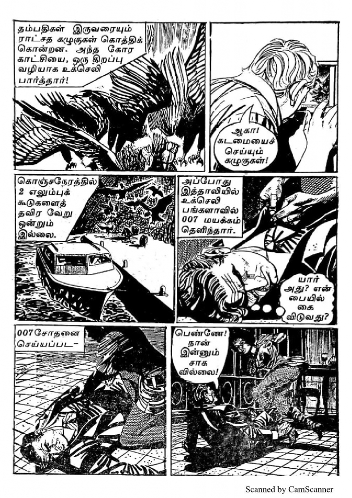 RC071_Page_15