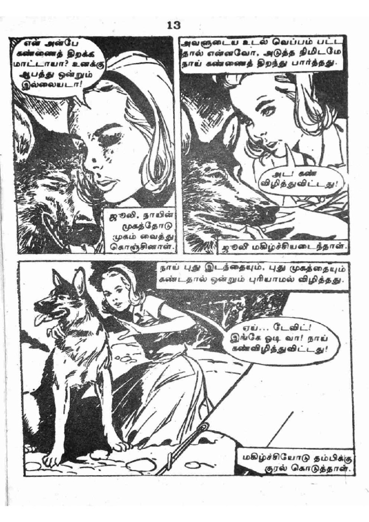 RC175_Page_13