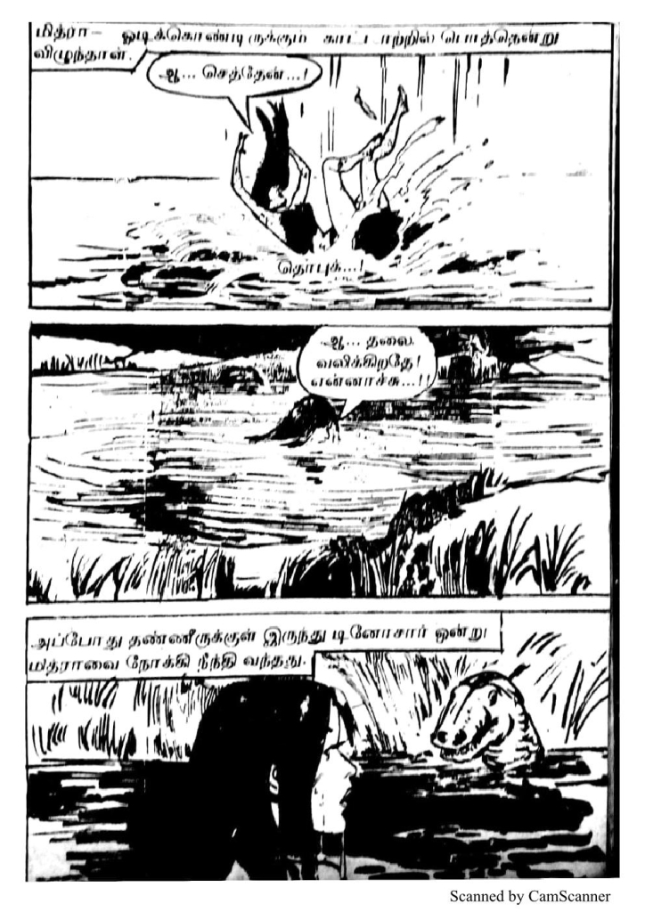 RC255_Page_31