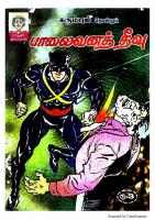 RC386 பாலைவனத் தீவு