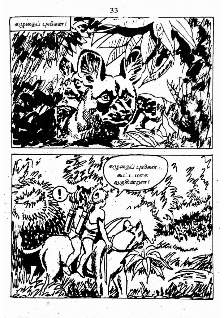 RC434_Page_33