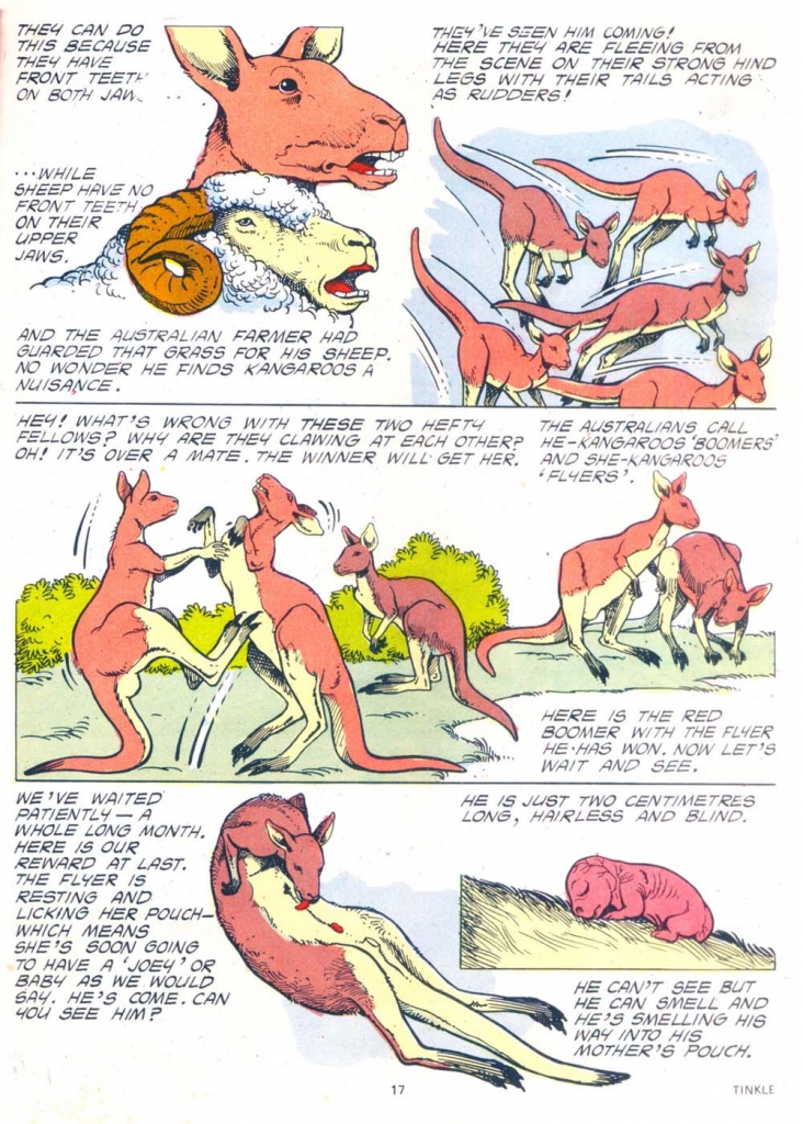 019